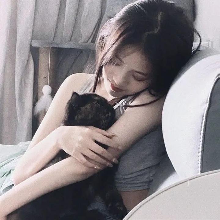 不死者之王剧场版圣王国篇